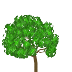 tree7
